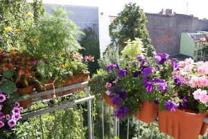 Balkon von Steve Meyer im Sommer 2012