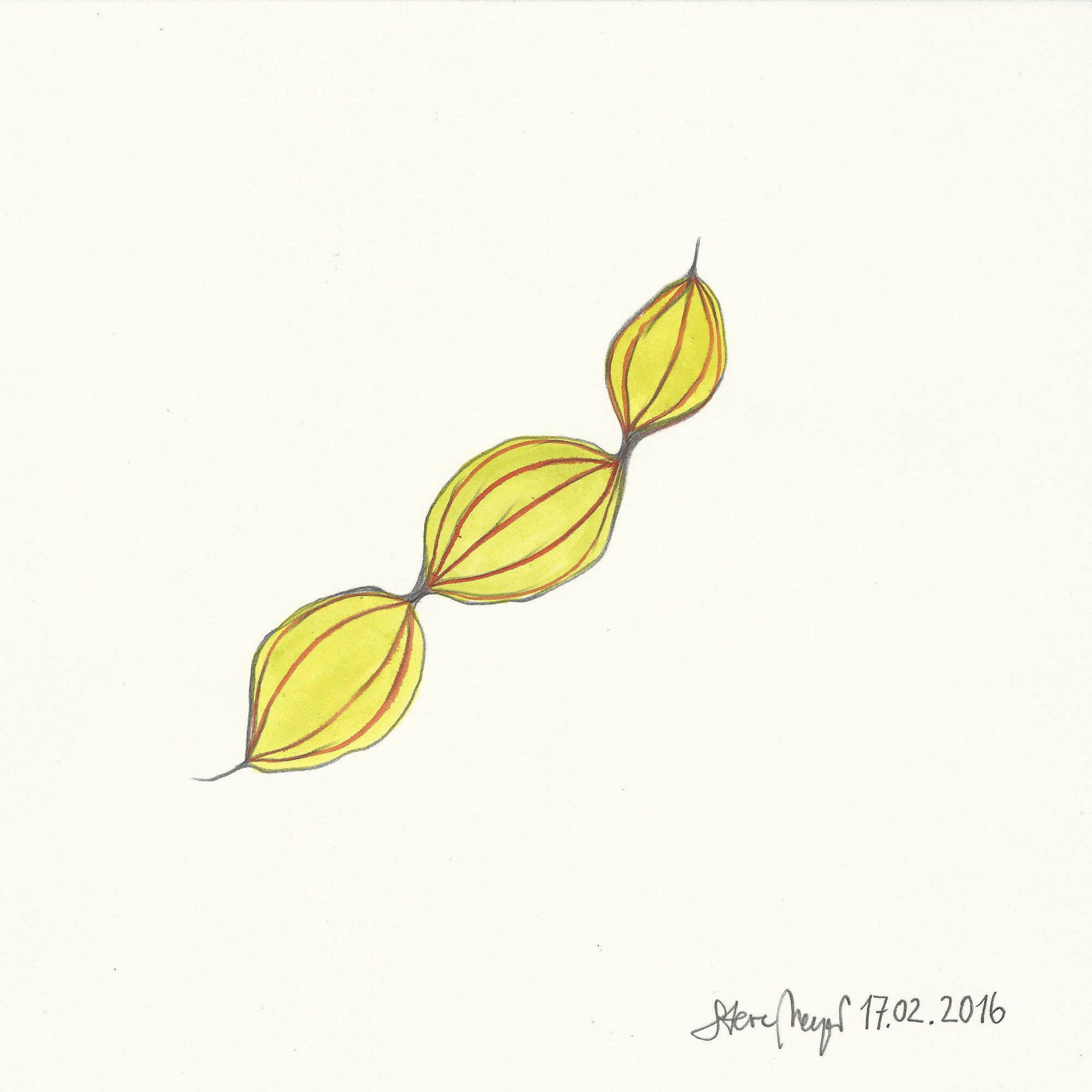 INSIDE OUT - 17.02.2016