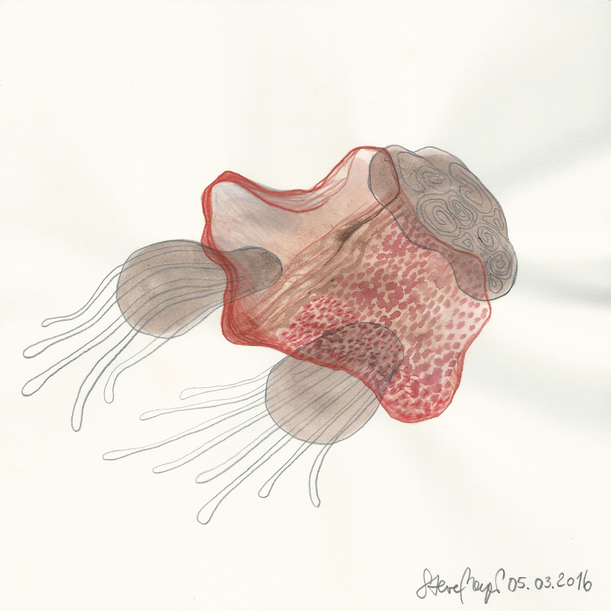 INSIDE OUT - 05.03.2016