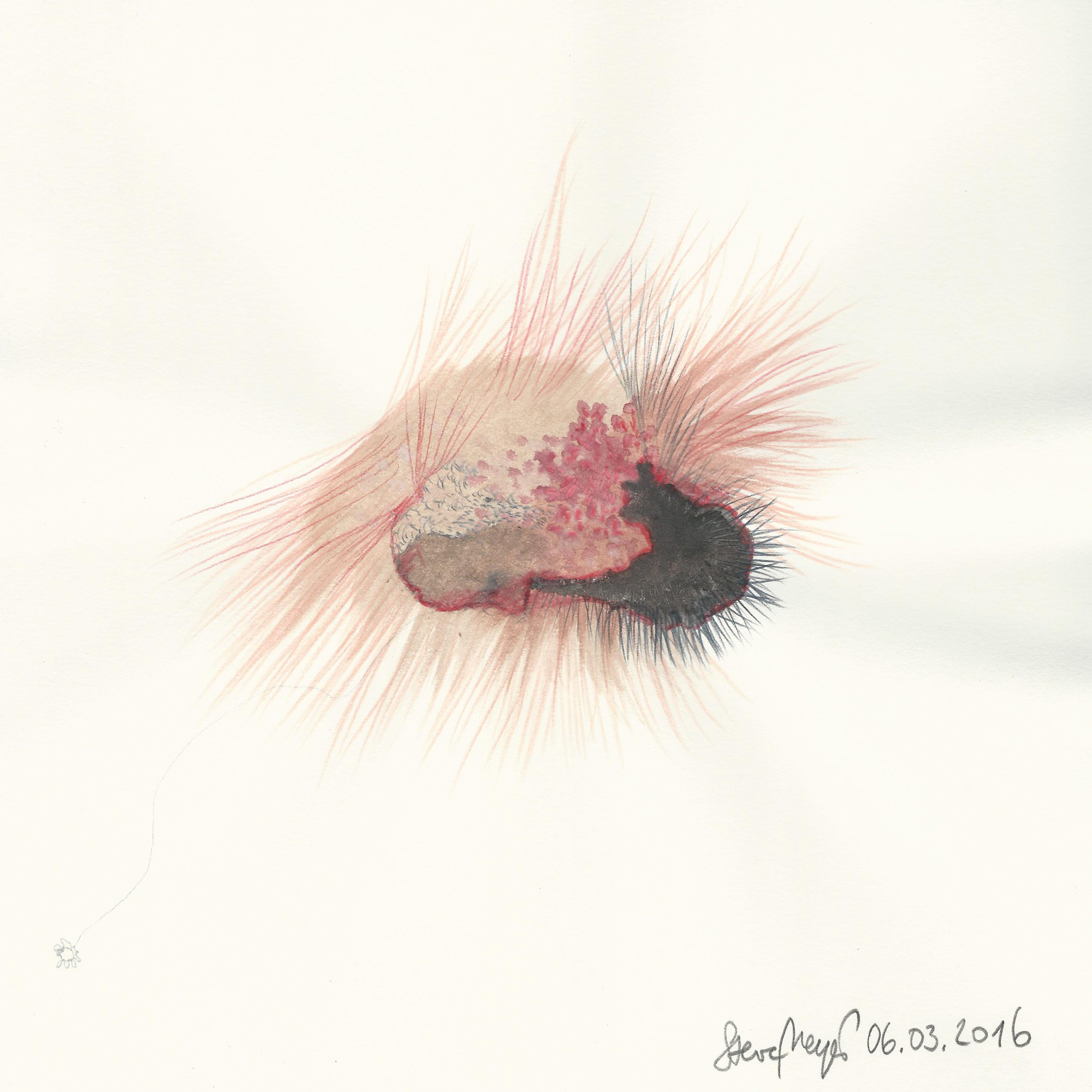 INSIDE OUT - 06.03.2016