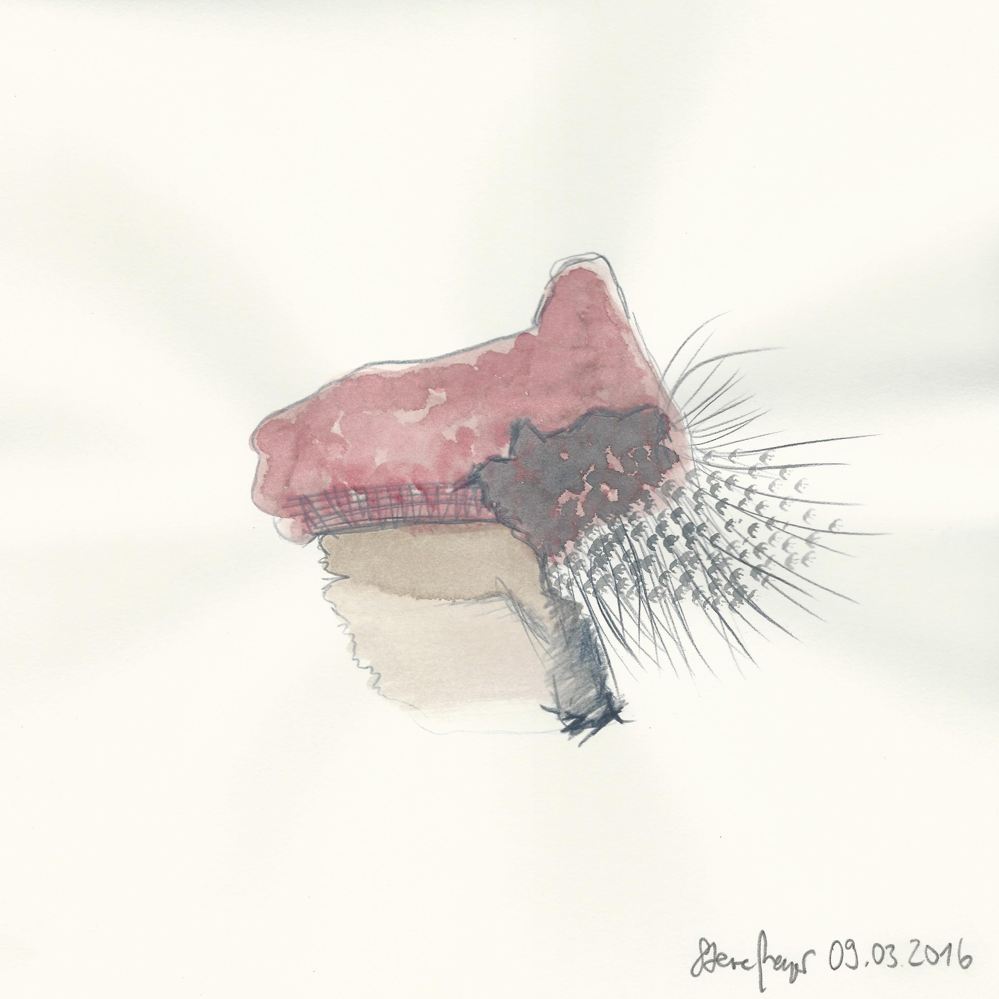 INSIDE OUT - 09.03.2016