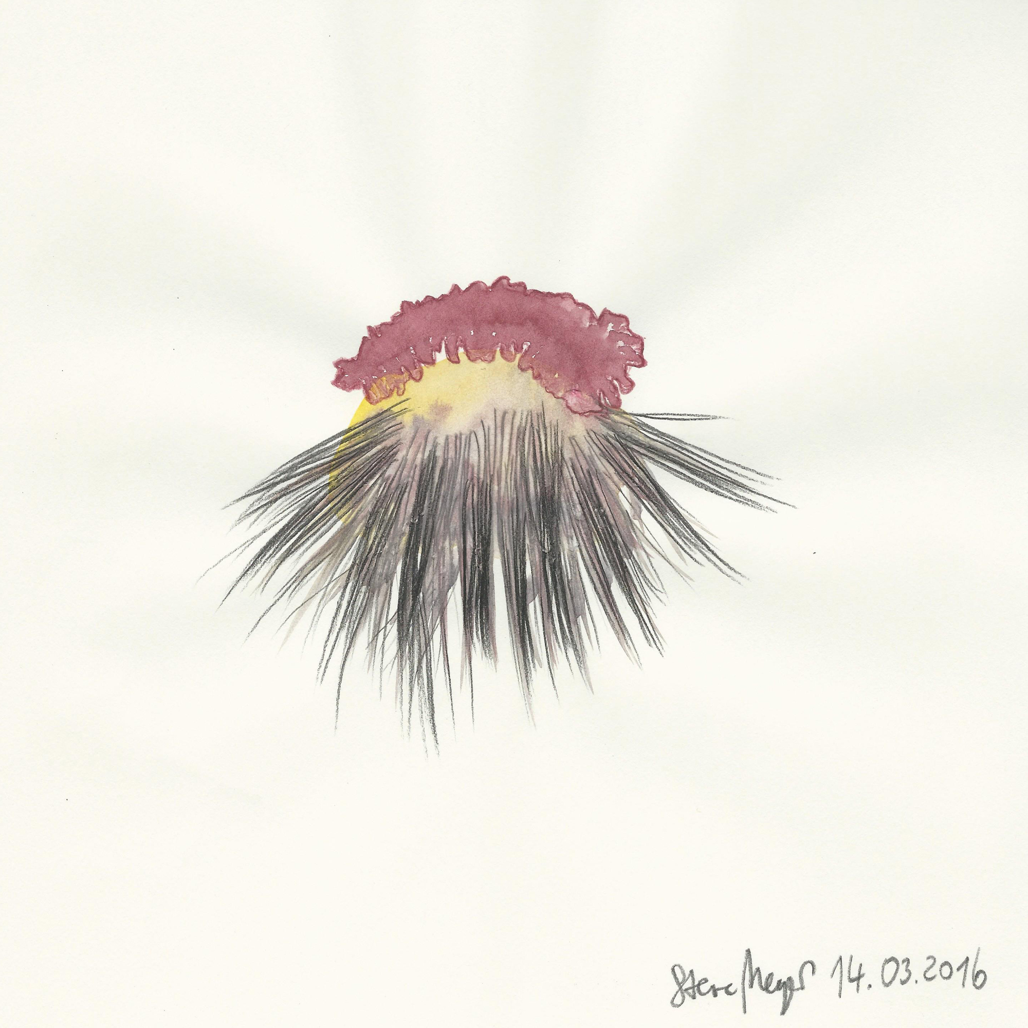 INSIDE OUT - 14.03.2016