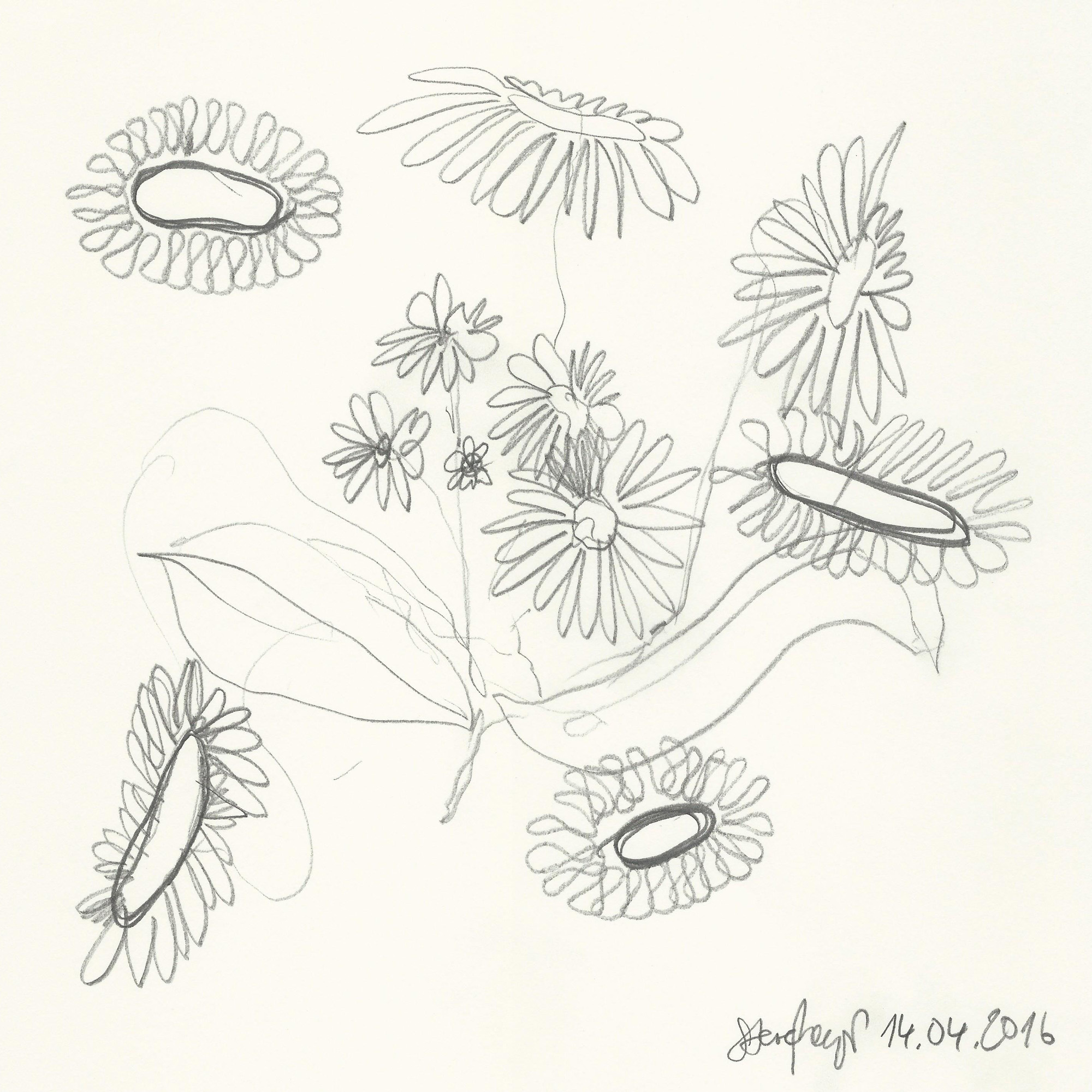 INSIDE OUT - 14.04.2016