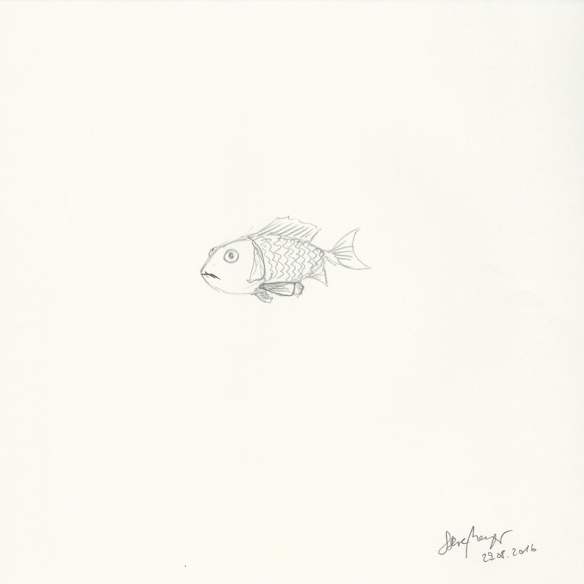 INSIDE OUT - 29.08.2016