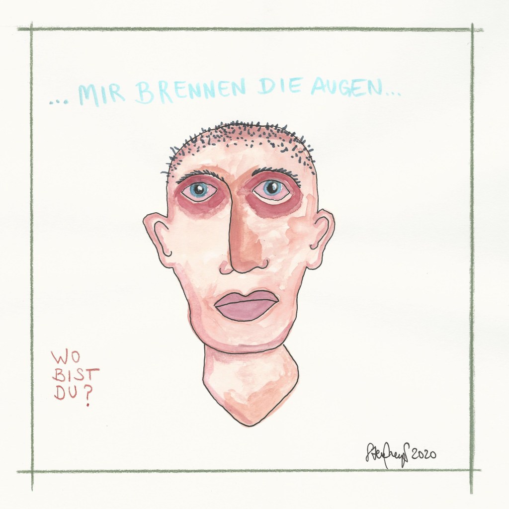 MIR BRENNEN DIE AUGEN, Steve Meyer, 2020